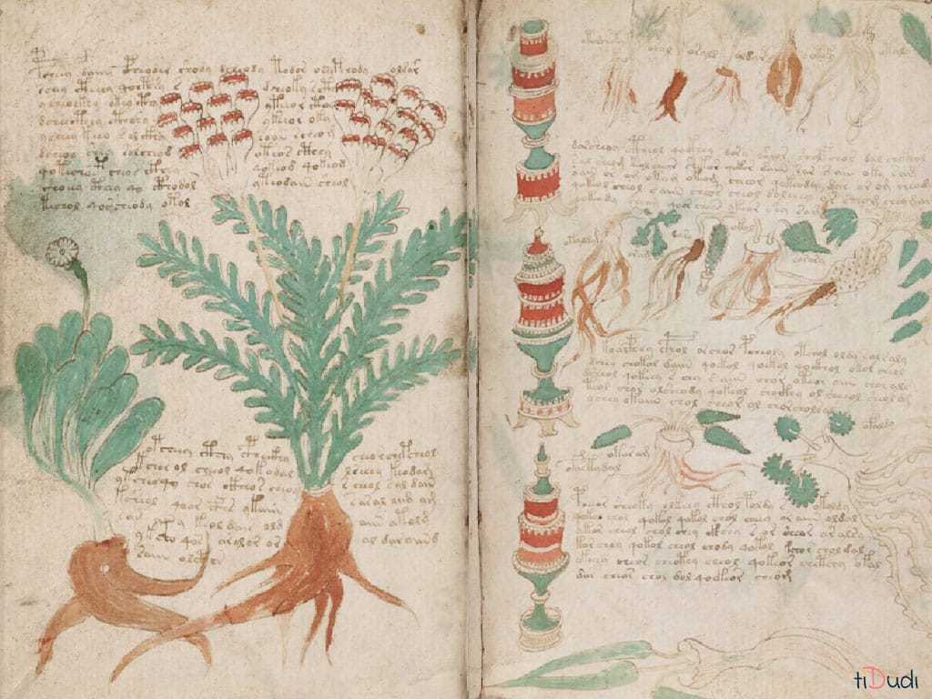 Le manuscrit de Voynich