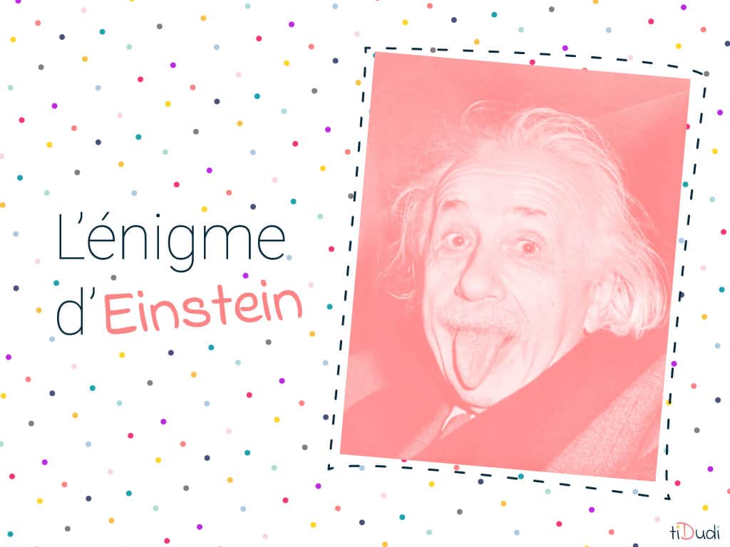 énigme d'Einstein